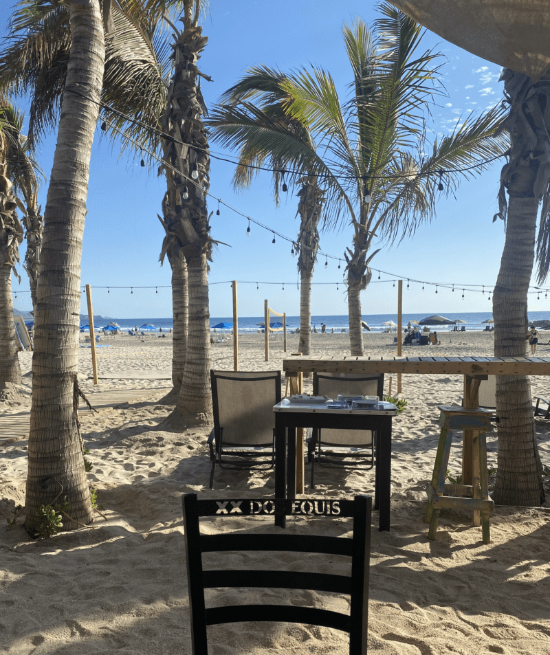 outdoor restaurant at cerritos beach, Baja